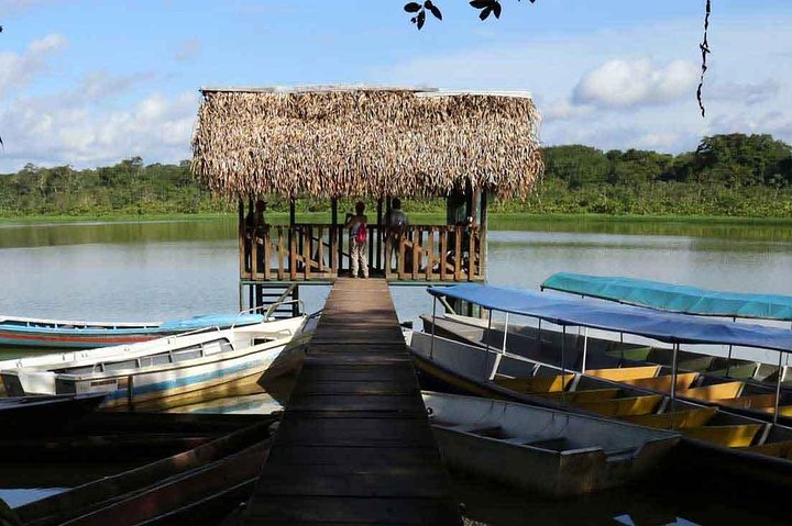 Tour Amazon Yasuni 5D - 4N