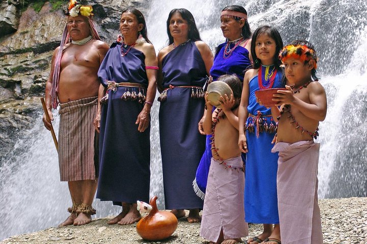 Tour Amazon Yasuni 5D - 4N