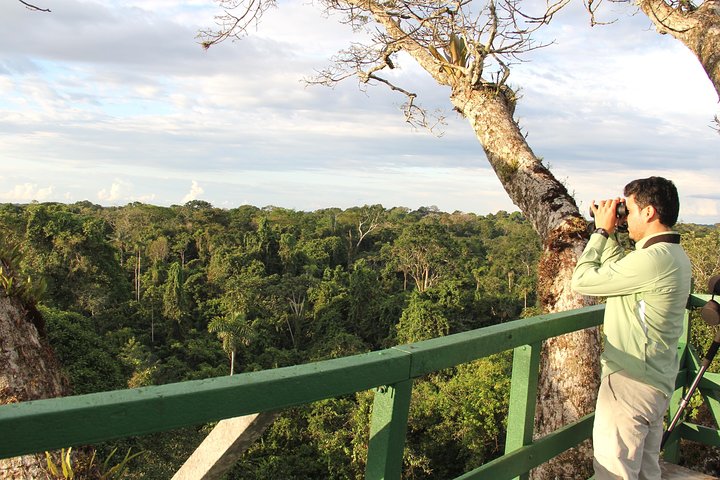 Tour Amazon Yasuni 5D - 4N