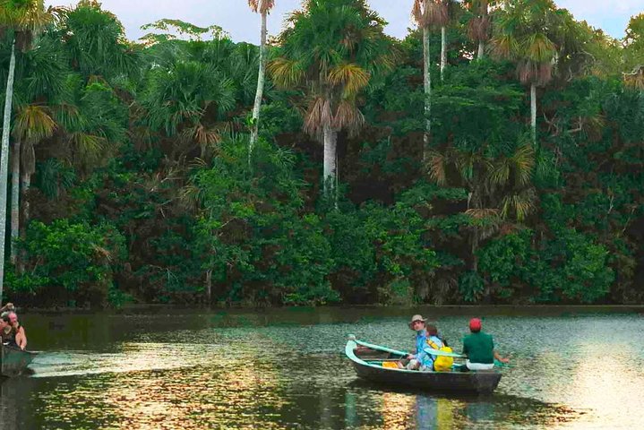 4 Day Tambopata Amazon Wildlife & Canopy Experience