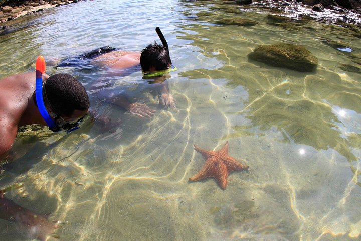 Full-Day Ilha Grande Northern Coast Speedboat Tour