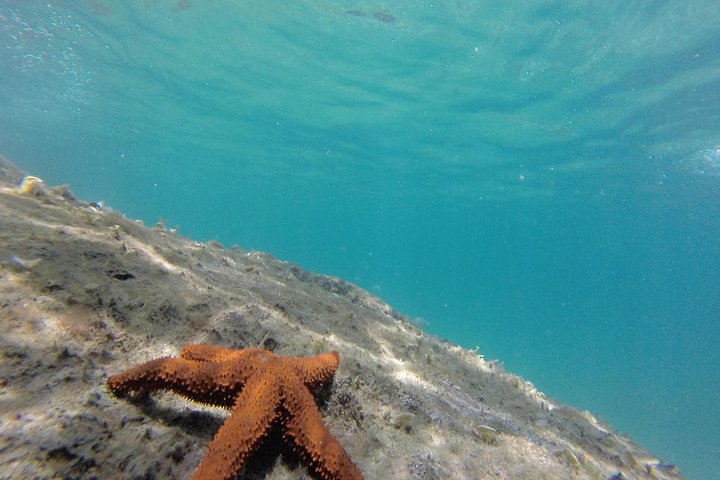 Full-Day Ilha Grande Northern Coast Speedboat Tour