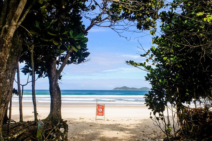 Schooner Shuttle to Lopes Mendes from Vila do Abraao