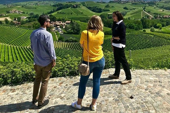 Taste Barolo and Barbaresco with a Sommelier. Piemonte Wine Tour