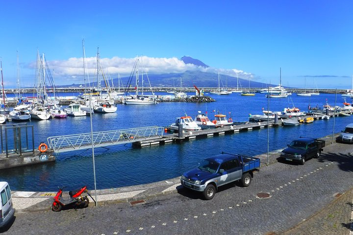 Faial Island: Half Day Tour