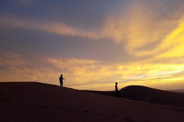 Private Tour to Huacachina from Paracas