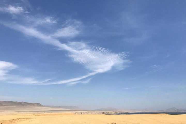 Paracas National Reserve Private Tour from Paracas or Pisco