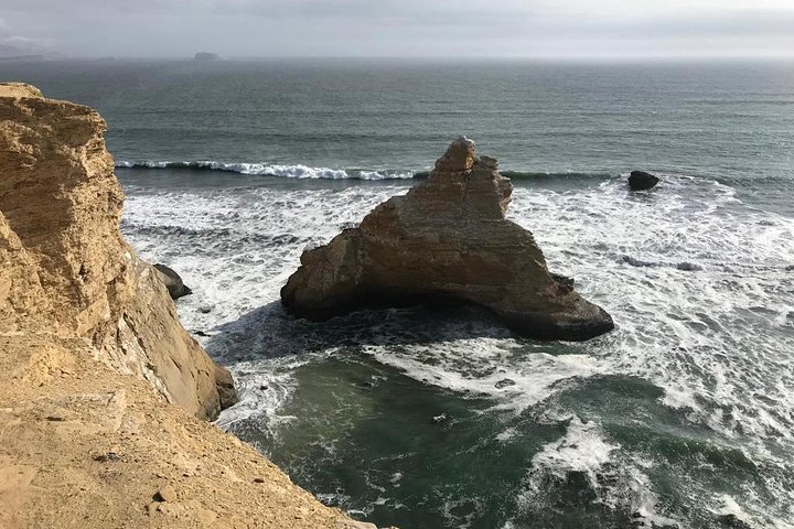Paracas National Reserve Private Tour from Paracas or Pisco