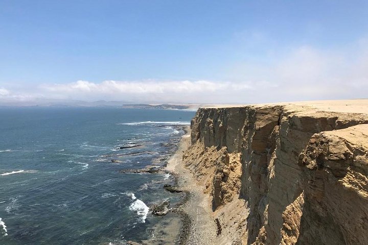 Paracas National Reserve Private Tour from Paracas or Pisco