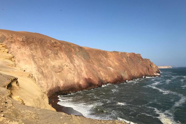 Paracas National Reserve Private Tour from Paracas or Pisco