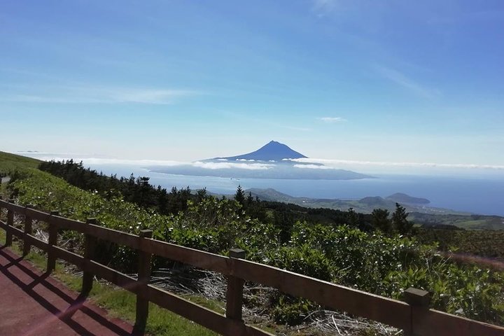 Faial Island: Half Day Tour