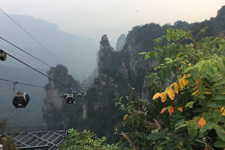 1-Day Private Tour to ZJJ National Forest Park & Avatar Mountain