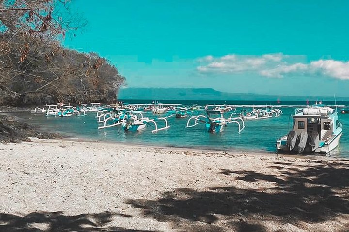 All Inclusive : Bali Blue Lagoon Snorkeling, Lunch, and Transport
