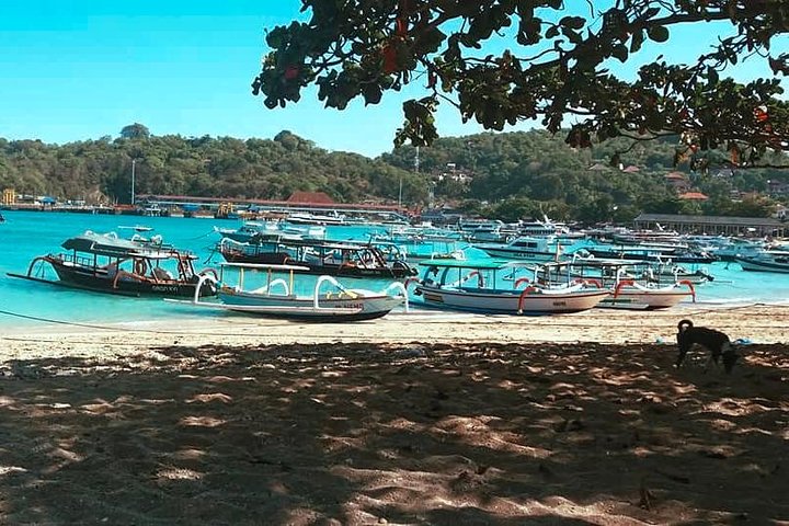 All Inclusive : Bali Blue Lagoon Snorkeling, Lunch, and Transport