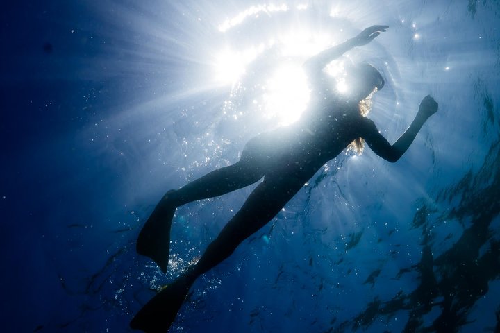 6 hour Ningaloo Reef Snorkel and Wildlife Adventure