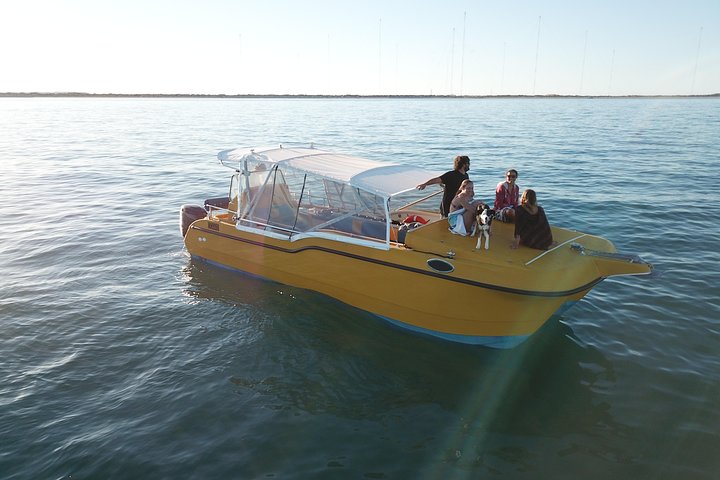 2.5 hour Snorkel / Turtle Tour on the Ningaloo Reef, Exmouth