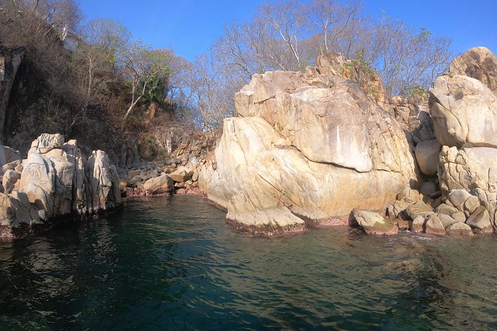 Full-Day Experience in Banderas Bay