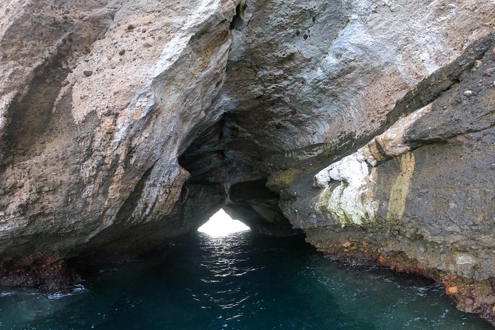 Full-Day Experience in Banderas Bay