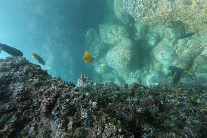 Full-Day Experience in Banderas Bay