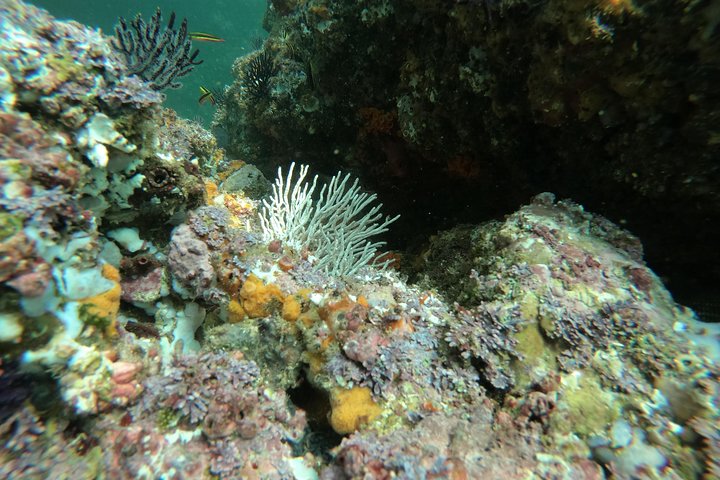 Full-Day Experience in Banderas Bay