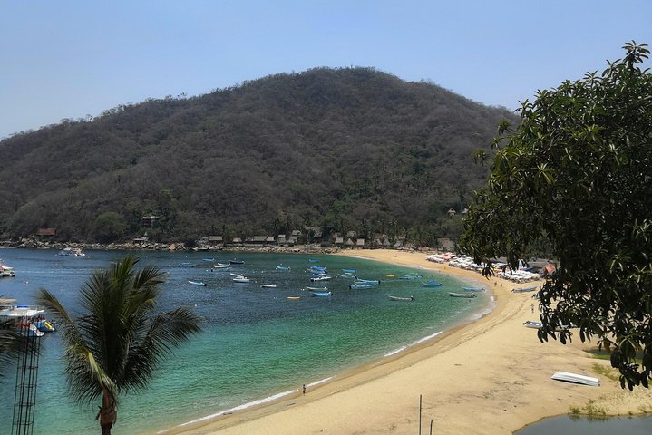Full-Day Experience in Banderas Bay