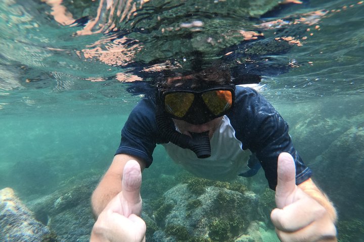 Full-Day Experience in Banderas Bay