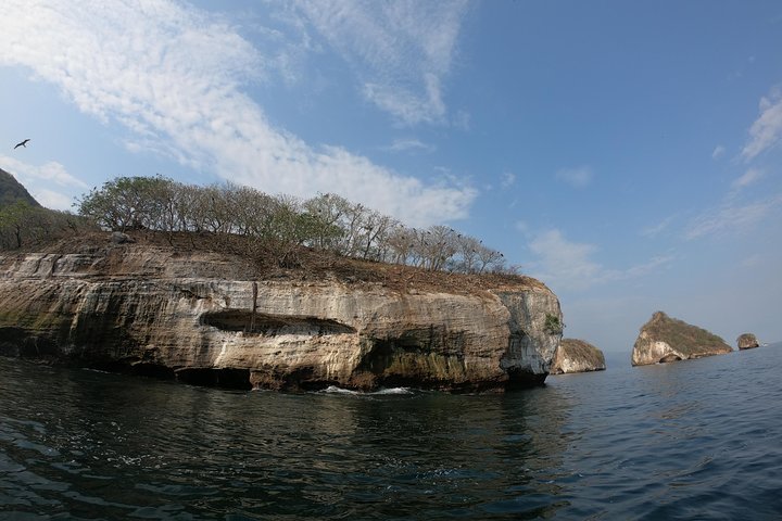 Full-Day Experience in Banderas Bay