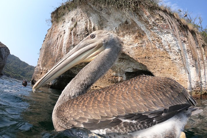 Full-Day Experience in Banderas Bay