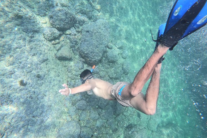 Full-Day Experience in Banderas Bay