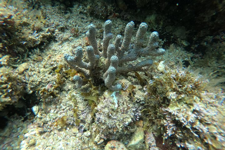 Full-Day Experience in Banderas Bay
