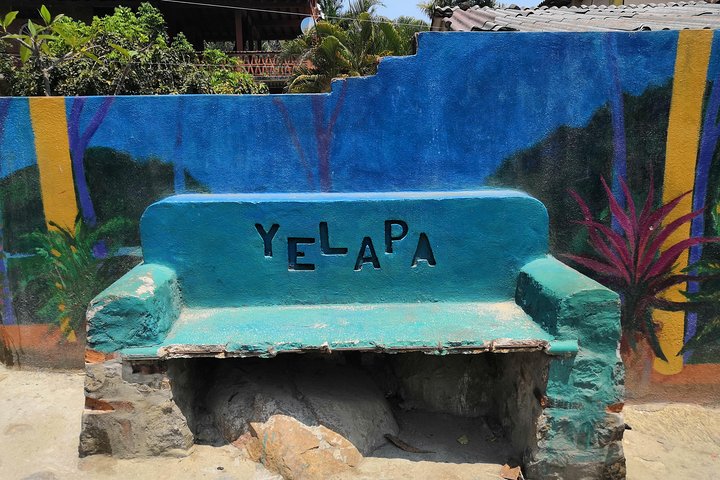 Full-Day Experience in Banderas Bay