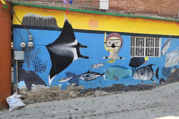 Full-Day Experience in Banderas Bay