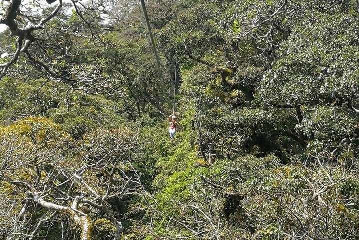 The Original Canopy Tour Monteverde, Zipline