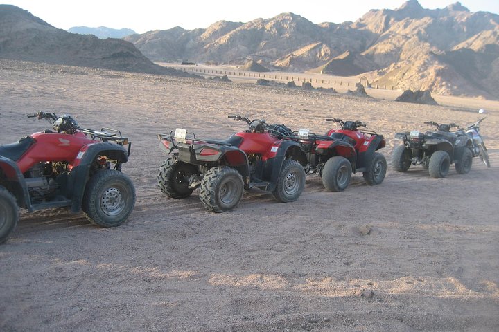 Camel Ride + Blue Hole Snorkeling + Quad Bike Tour With Lunch From Dahab