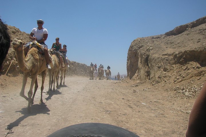 Camel Ride + Blue Hole Snorkeling + Quad Bike Tour With Lunch From Dahab