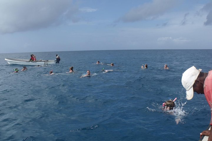 Kizimkazi Dolphin Tour
