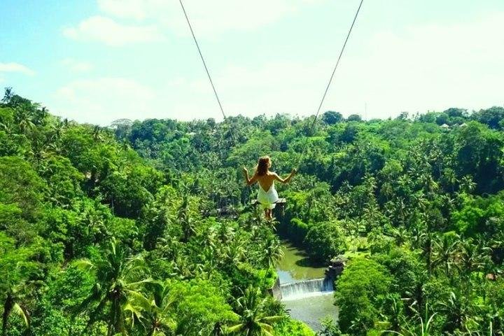 Ubud: Monkey Forest, Jungle Swing, Rice Terrace and Water Temple