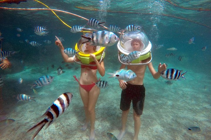 Spectacular Catamaran trip to Ile Aux Cerf with Lunch & Transfer