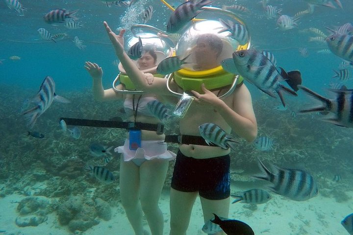 Spectacular Catamaran trip to Ile Aux Cerf with Lunch & Transfer