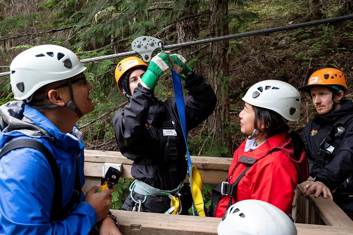 Zipline Adventure in Whistler