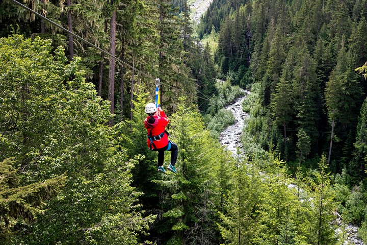 Zipline Adventure in Whistler