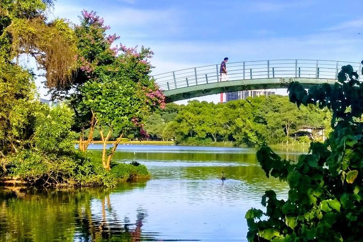 Amazing São Paulo overview in 4 or 5 hours with a private guide