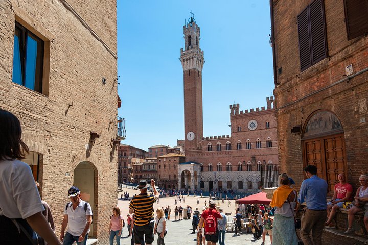Tuscany Day Trip from Florence: Siena, San Gimignano, Pisa and Lunch at a Winery
