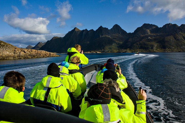 Sea Eagle Safari from Svolvær to Trollfjorden
