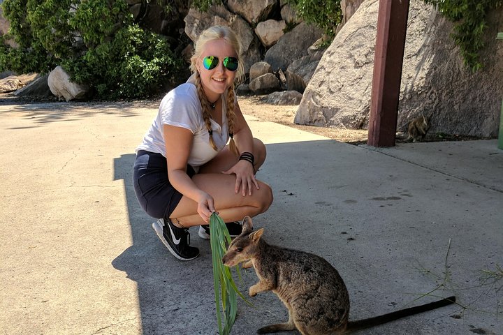 Magnetic Island Tour Maggie Comprehensive