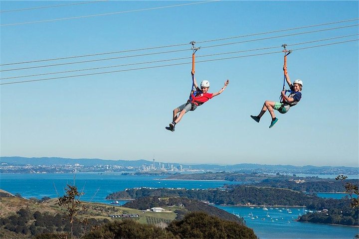 Waiheke Island: Zipline And Forest Walk