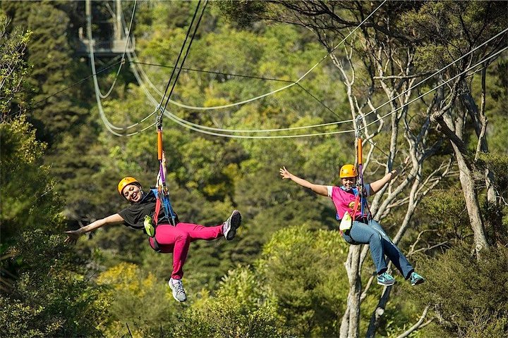 Waiheke Island: Zipline And Forest Walk