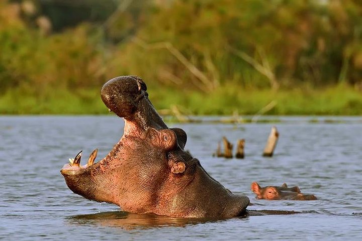 Hell's Gate Cycling Tour & Lake Naivasha Boat Ride from Nairobi