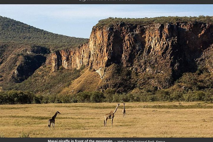Hell's Gate Cycling Tour & Lake Naivasha Boat Ride from Nairobi
