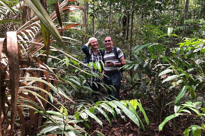 Amazon Adventure Trip 4D/3N at Tapiri Anavilhanas Lodge